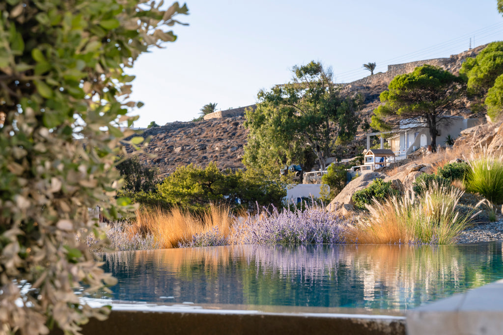 The Cove